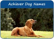 Achiever Dog Names