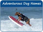 Adventurous Dog Names