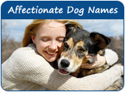 Affectionate Dog Names