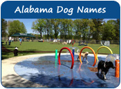 Alabama Dog Names