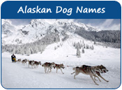 Alaskan Dog Names