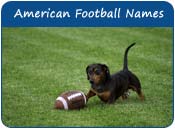 American Football Dog Names