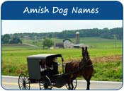 Amish Dog Names