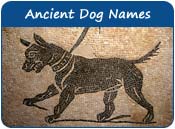 Ancient Dog Names