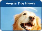 Angelic Dog Names