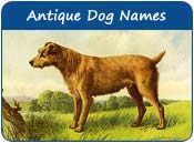 Antique Dog Names