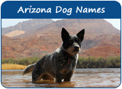 Arizona Dog Names