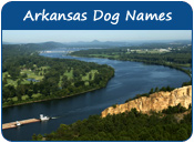 Arkansas Dog Names