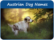 Austrian Dog Names