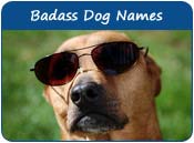 Badass Dog Names
