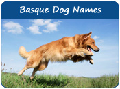Basque Dog Names