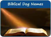 Biblical Dog Names