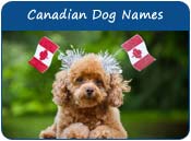 Canadian Dog Names