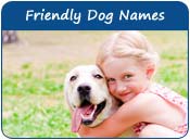Friendly Dog Names