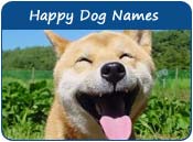 Happy Dog Names