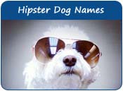Hipster Dog Names
