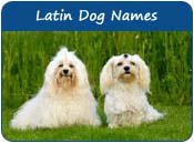 Latin Dog Names
