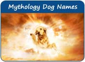 Mythology Dog Names
