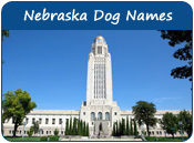 Nebraska Dog Names