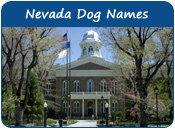 Nevada Dog Names