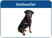 Rottweiler Names